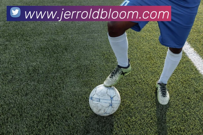 奖项证书